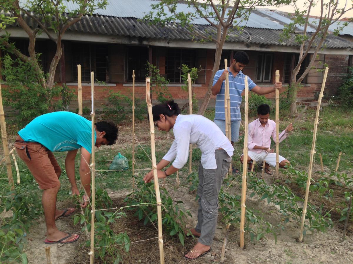 बैंकको जागिर छाडेर व्यावसायिक कृषिमा